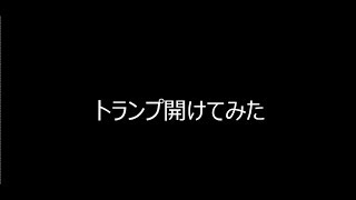 トランプレビュー？