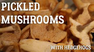 Pickled Wild Mushrooms with Hedgehogs