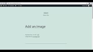 Video 23 Permalink Settings