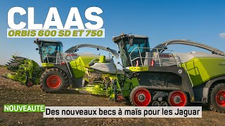 NEW - Becs à maïs CLAAS Orbis 600 SD et 750 sur Jaguar 960 Terra Trac