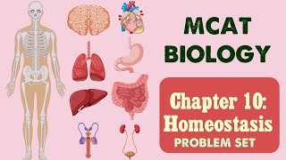 MCAT Biology: Chapter 10 - Homeostasis Problem Set