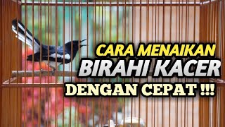 CARA MENAIKAN BIRAHI KACER DENGAN CEPAT DAN TEPAT