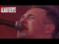 almafuerte pepsi music 2007 fullshow