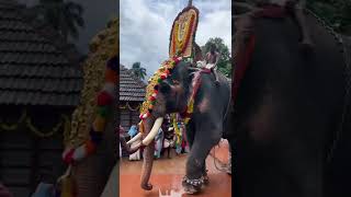 Thrikkakkara Vamana Moorthy Temple, Ernakulam, Kerala, India. .#onam #attoi #pookkalam