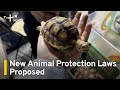 New Animal Protection Laws Proposed | TaiwanPlus News