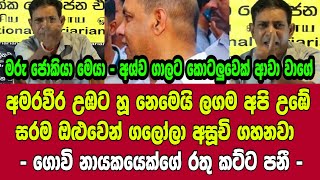 🔴අමරවීර උඹට හූ නෙමෙයි ලගම අපි උඹේ සරම ඔළුවෙන් ගලෝලා අසූචි ගහනවා  - ගොවි නායකයෙක්ගේ රතු කට්ට පනී