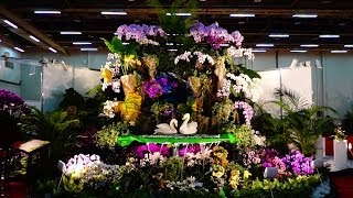 2014台中全國蘭花博覽會-蘭花主題造景-Orchid Show