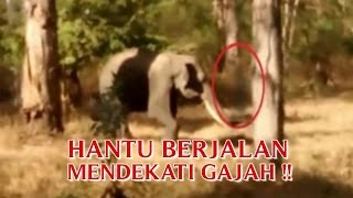 730+ Gambar Hantu Asli Dan Nyata Gratis Terbaik