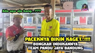 ❤️PACEKNYA BIKIN KAGET‼️BONGKAR INDUKAN TEAM PANDU JAYA BANDUNG