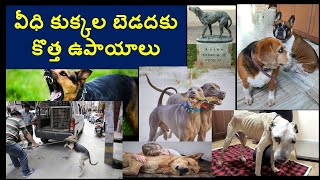 వీధి కుక్కల బెడదకు కొత్త ఉపాయాలు |  Dr S Bakhtiar Choudhary