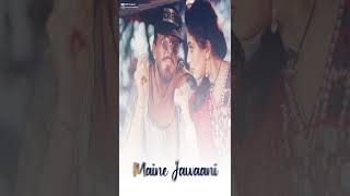 Begum Bagair Badshah Kis Kaam Ka | Full Screen Status | Khalnayak Movies Status | HBR Ringtone