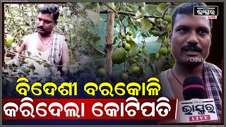 ଚାକିରି ଛାଡ଼ି ଘରେ କଲେ ଚାଷ । ରାତାରାତି ହୋଇଗଲେ କୋଟିପତି । Youth Farmer left his job for farming