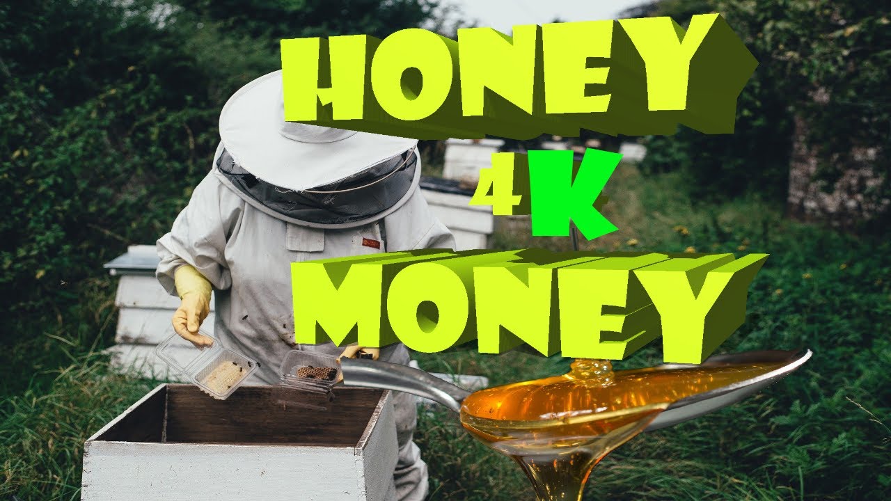 Honey For Money | Make Money From Honey Bees | How Much Money You Can ...