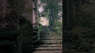 夏日秘境 大山寺 雨中的宁静与历史 嘿 空气清新 风景如画的地方 旅拍 日本旅游  #日本三日游 #Travel #Tokyo #中高级订制图 #旅行团