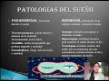 psicofisiología del sueño 🛌