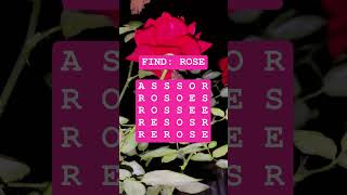 Observation Visual Test: 5 Seconds For You To Spot ROSE . Try Your Skills!  #search #puzzle #shorts