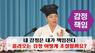 1899강 내 감정은 내가 책임지기위해 올라오는 감정을  어떻게 조절하나요?[도원(道圓)대학당 강의]