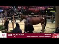 vente arqana d Élevage 2018 j2