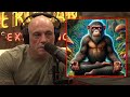 Joe Rogan shares about The Stoned Ape Theory Revisited - Joe Rogan 2025