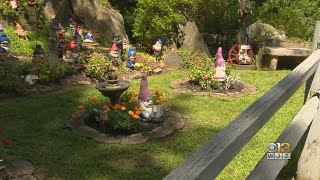 On One NCR Trail In Maryland, A Village Of Garden Gnomes Sits For Hikers To Find