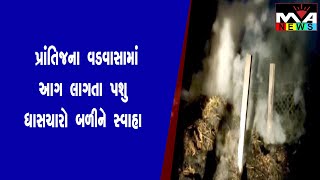 પ્રાંતિજના વડવાસામાં આગ લાગતા પશુ ધાસચારો આગમાં બળીને સ્વાહા