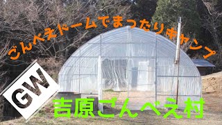 吉原ごんべえ村【阿蘇キャンプ】ごんべえドームでまったりキャンプ