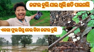 ଜଙ୍ଗଲ ବୁଲି ଯାଇ ଥିଲି ଛତି ପାଇଗଲି #travling #vlog #vlogger #travel #travelvlog #mashroom #survive