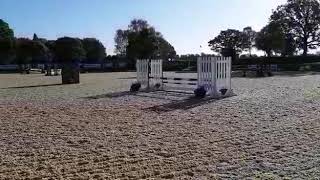 British Novice at Hickstead