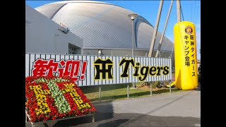 【毎日プロ野球しゃべり場】25/2/10　阪神沖縄キャンプ　第3クール展望　選手評価考察　他最新情報　今日の阪神選手契約更改＆野球情報トーク🤫#阪神タイガース　#阪神 #プロ野球