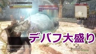 【DDON】セージ１人でデバフ２段つけてみた