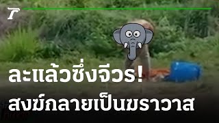 สั่งสอบ พระเปลื้องจีวรสวมชุดฆราวาส | 27-02-65 | ไทยรัฐทันข่าว