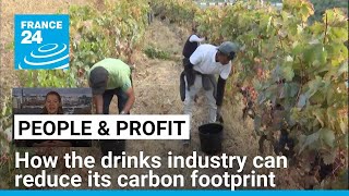 Sustainable sipping: How the drinks industry can reduce its carbon footprint • FRANCE 24 English