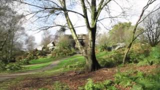 A Guided Walk Around Brimham Rocks