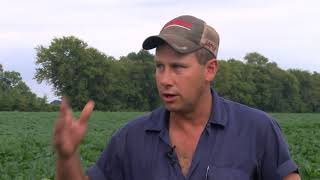 Hanover Closeup Interviews