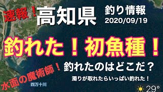 【高知県釣り情報】濁りがなければやっぱり釣れる！４連休はやっぱり釣りだ！（笑）