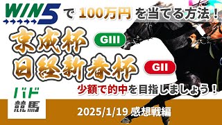 【WIN5で100万円感想戦編】2025年1月19日（日）京成杯・日経新聞杯【競馬】