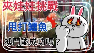 【阿樂夾娃娃#23】甩爪 補抓鱷魚，能成功嗎？ [クレーンゲームClaw crane ]