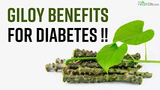 Giloy Health Benefits For Diabetic Patients | Giloy For Diabetes | Giloy Ke Fayde | The Health Site