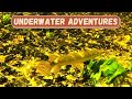 Central Florida Underwater Adventure