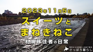 「まねきねこ」のイントネーション｜札幌移住者の日常