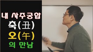 내 사주궁합에 축(丑)or 오(午)가 있다면... (축오의 만남)