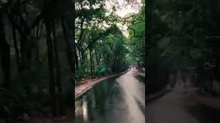 Nilambur - Kerala | All India Travel | Travel India Hill Station | Travel Keralities | Kerala Falls