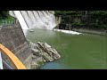 泰阜ダム一門放流＆牛ヶ爪川の清流＠長野県泰阜村