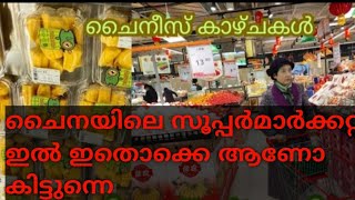 പാമ്പും തേളും പഴുതാരയും മാത്രം ആണോ ചൈനയിലെ സൂപ്പർമാർക്കറ്റിൽ /China vlog malayalam