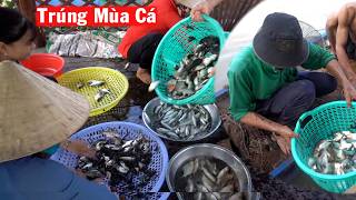 Thật Khó Tin Dở Chà Cà Trên Sông được Nhiều Cá Ngon