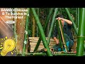 Bamboo house built to survive in the forest 🌿 || 2024 #bamboohouse