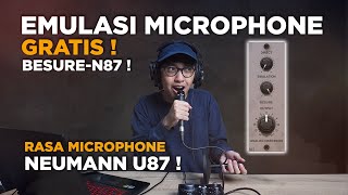 Tips EMULASI MIC DYNAMIC MENJADI RASA Mic NEUMANN U87