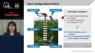 Toshiba: Externally Gapped Line Arresters (EGLAs)