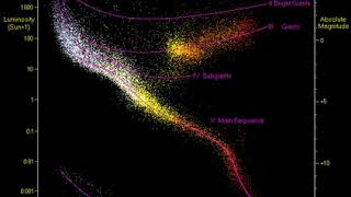 Red clump | Wikipedia audio article | Wikipedia audio article