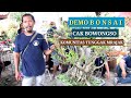 DEMO BAHAN BONSAI KIMENG (Ficus Microcarpa) BERSAMA MASTER BOWONGSO DARI KOMUNITAS TUNGGAK MRAJAK